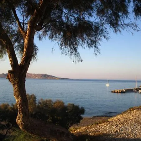 Traditional Науса