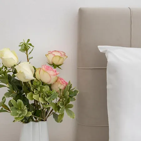 Traditional Науса