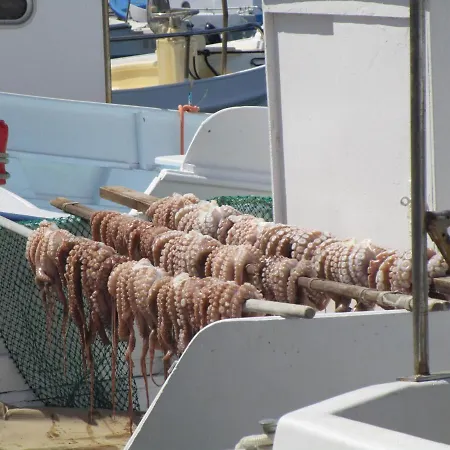 Traditional Apartment Naousa (Paros)