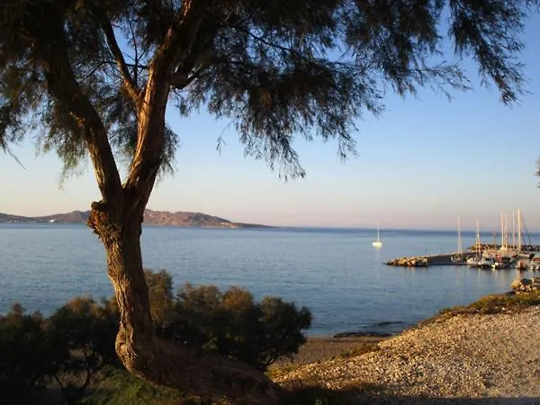 Traditional Науса