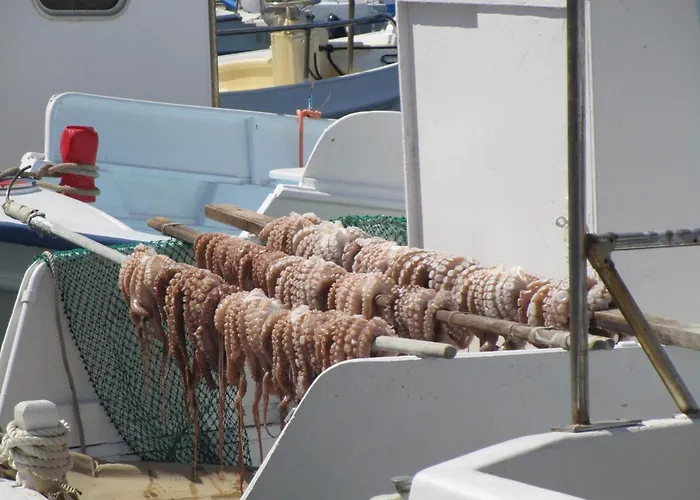 Traditional Апартаменты Науса