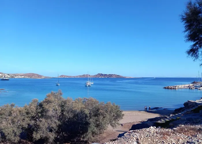 Traditional * Науса