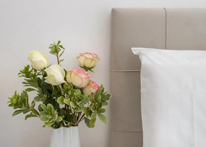 Traditional Науса